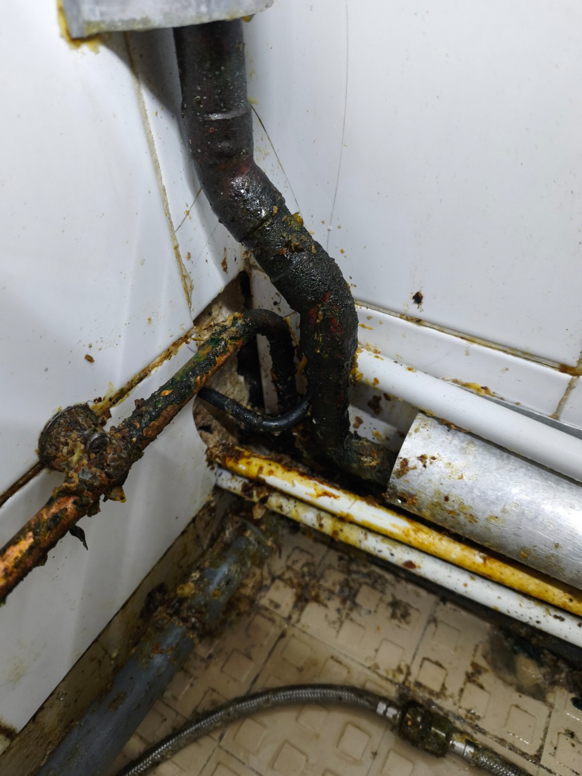 Sélectionner la méthode adaptée : pièges anti-rats, fumigation ou raticide, selon l’infestation détectée chez un propriétaire