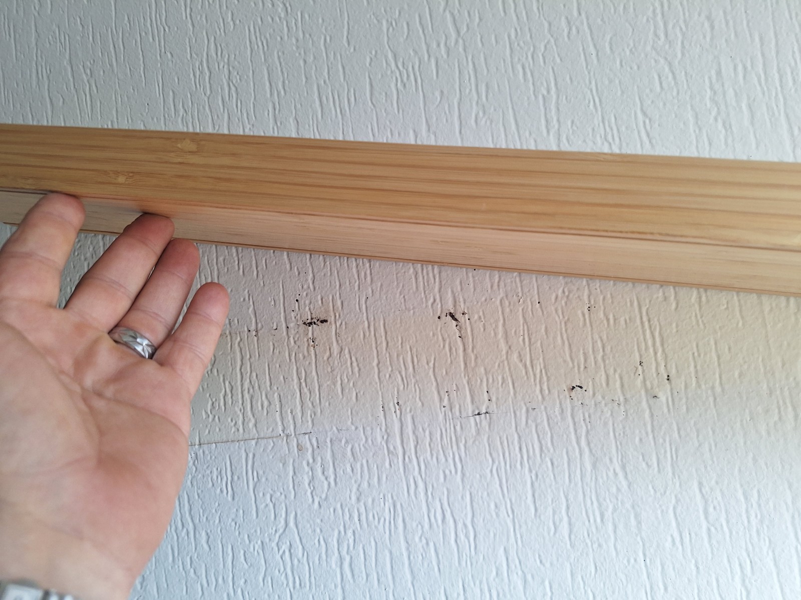 Prix Traitement punaise de lit pour appartement avec pulvérisation et fumigation à Marseille 13006