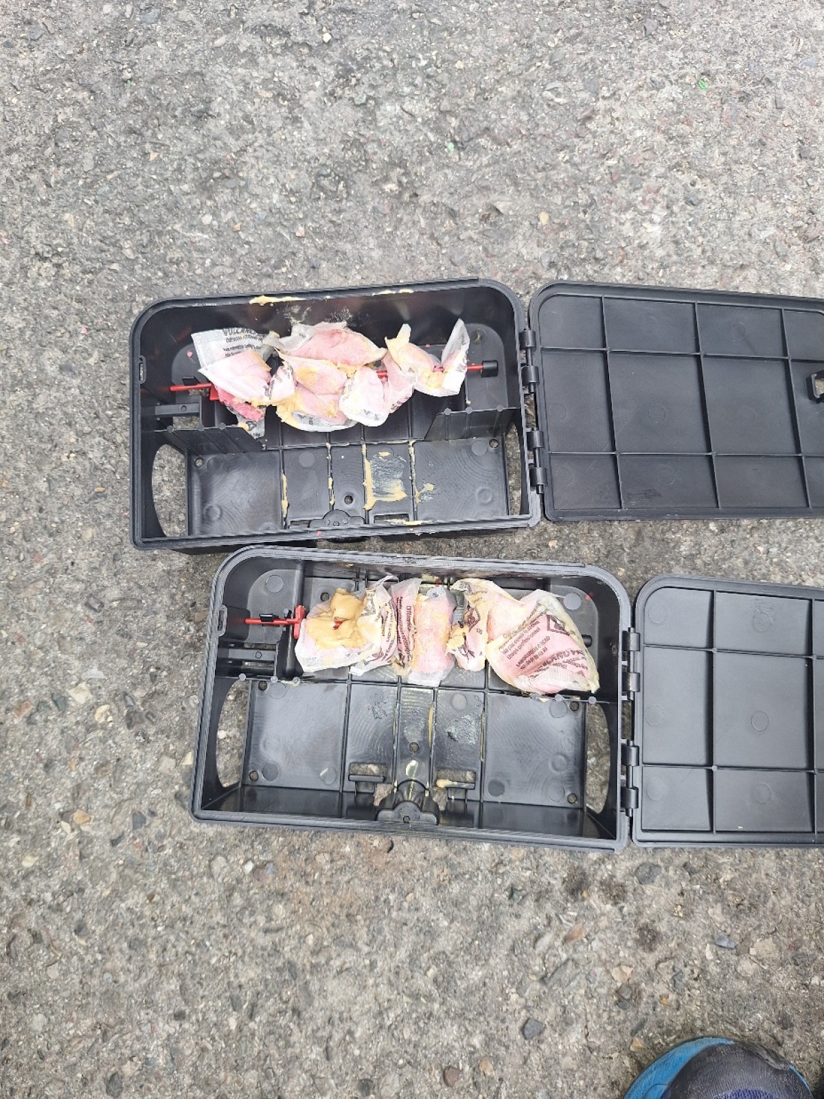 Deratisation en urgence dans une residence privée dans 10ème arrondissement Marseille