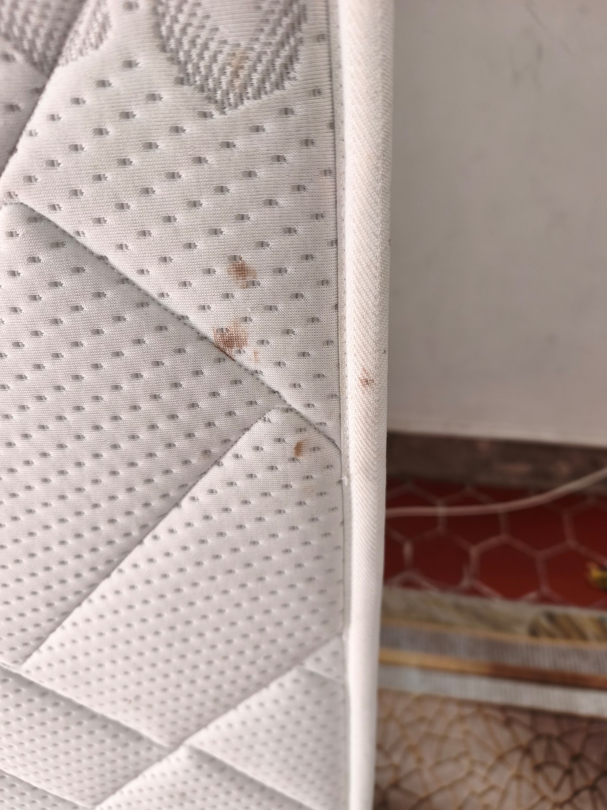 Comment se débarasser des punaise de lit rapidement à marseille ?