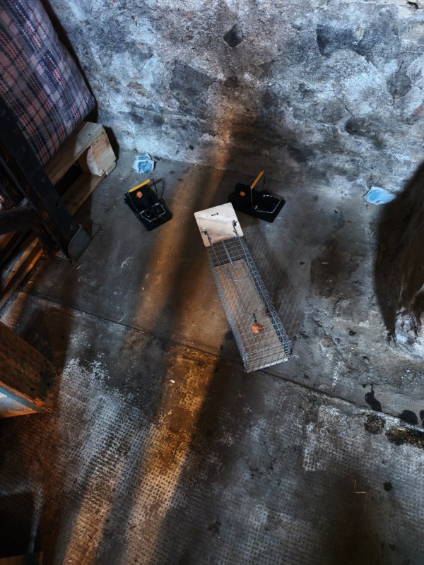 Deratisation d'une villa dans le 12e arrondissement de Marseille