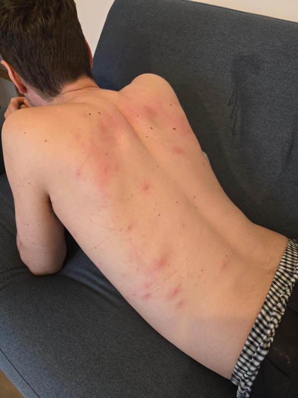 Comment trouver un nid de punaises de lit dans une maison de 90 m² secteur Jas-de-Bouffan Aix-en-Provence