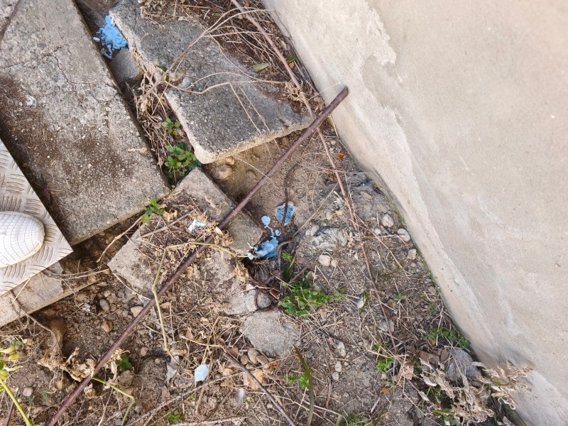 LT PRO intervient 24h/7j pour éliminer rats et souris : devis rapide 