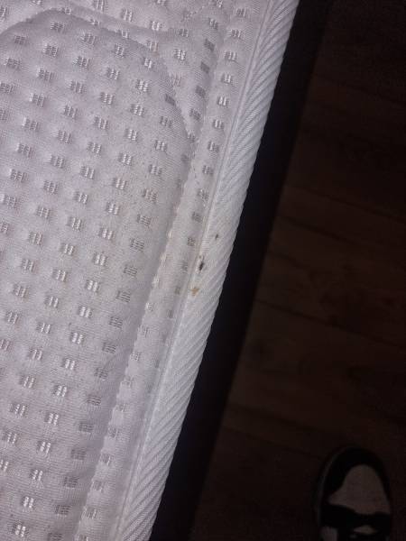 Éradication des punaises de lit à Marseille edmond Rostan proche centre-ville :une solution rapide et fiable