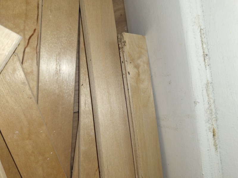 Quel est le coût d’un traitement professionnel pour un T4 de 85 m² infesté de rats à Marseille 13e ?