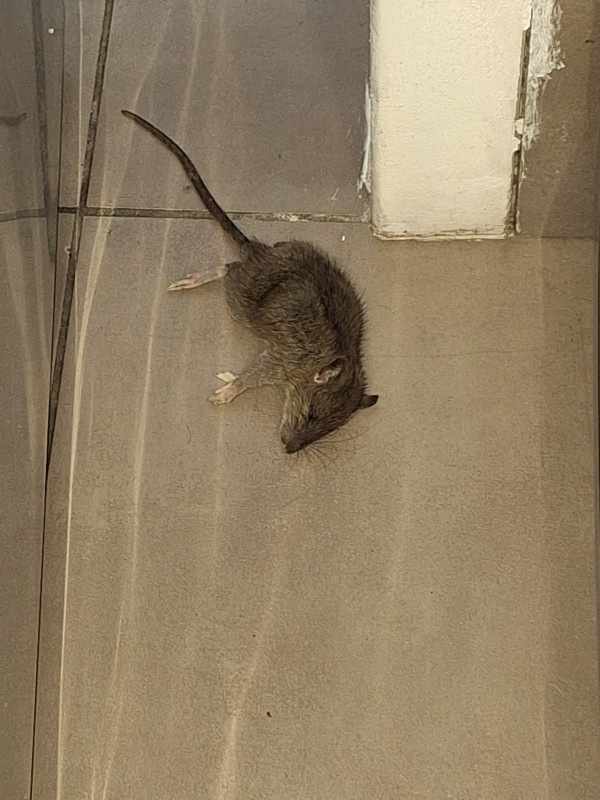 Prix d'eratisation pour appartement à Marseille dans les Bouches-du-Rhône