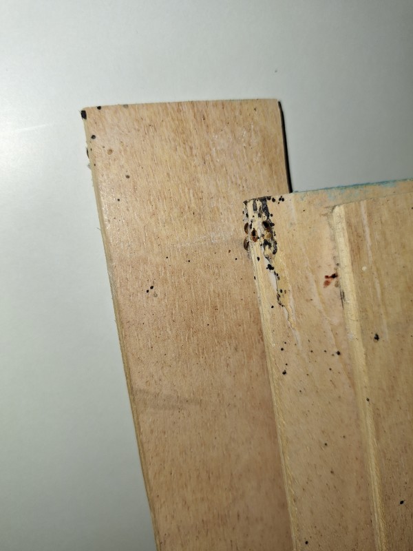 Traitement efficace contre les punaises de lit pour AirBnB à Marseille 1er - Noailles et Vieux-Port