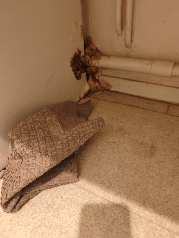 Sélectionner la méthode adaptée : pièges anti-rats, fumigation ou raticide, selon l’infestation détectée chez un propriétaire