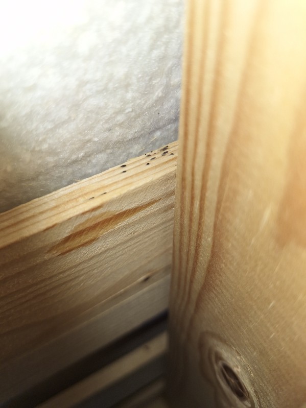 Traitement vapeur sèche punaises de lit sur literie et mobiliers fixes dans studio infesté quartier Joliette Marseille.