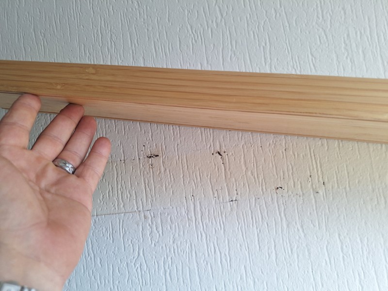 Prix Traitement punaise de lit pour appartement avec pulvérisation et fumigation à Marseille 13006