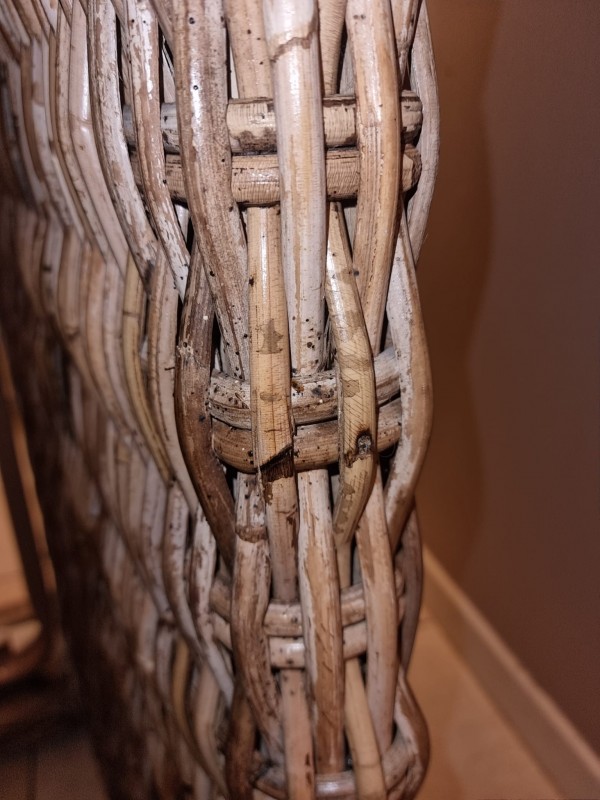 Traitement Punaise appartement T3  à Marseille 15e