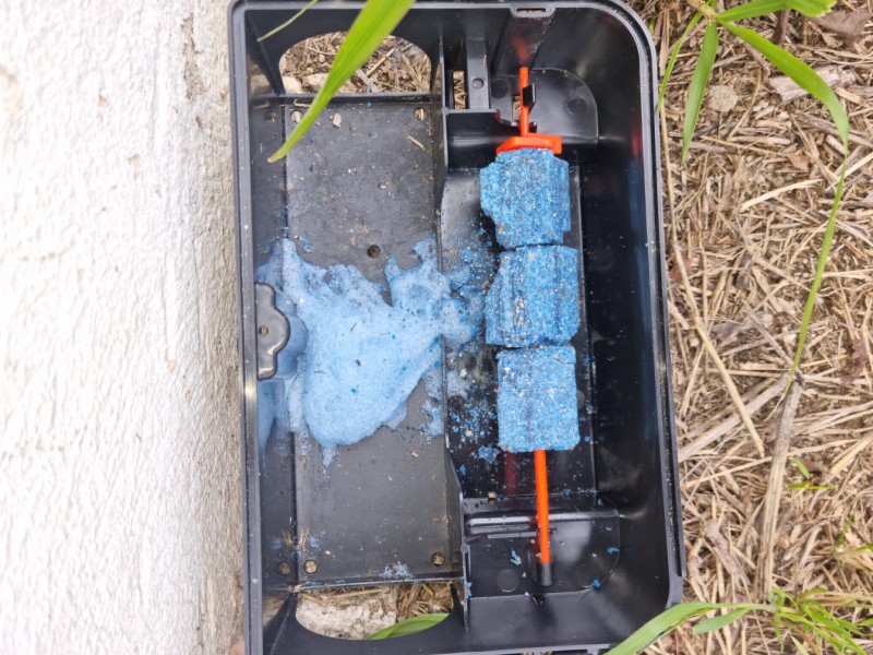 Estimer le coût global d’une dératisation complète avec suivi et certificat pour locaux commerciaux ou copropriétés à Marseille