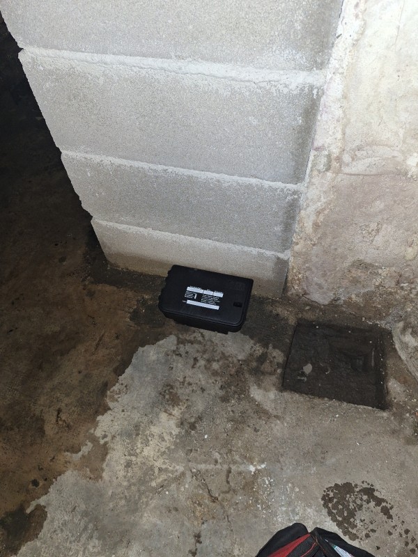 Deratisation en urgence dans une residence privée dans 10ème arrondissement Marseille