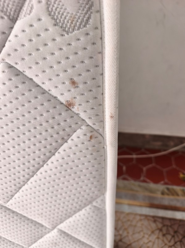 Comment se débarasser des punaise de lit rapidement à marseille ?