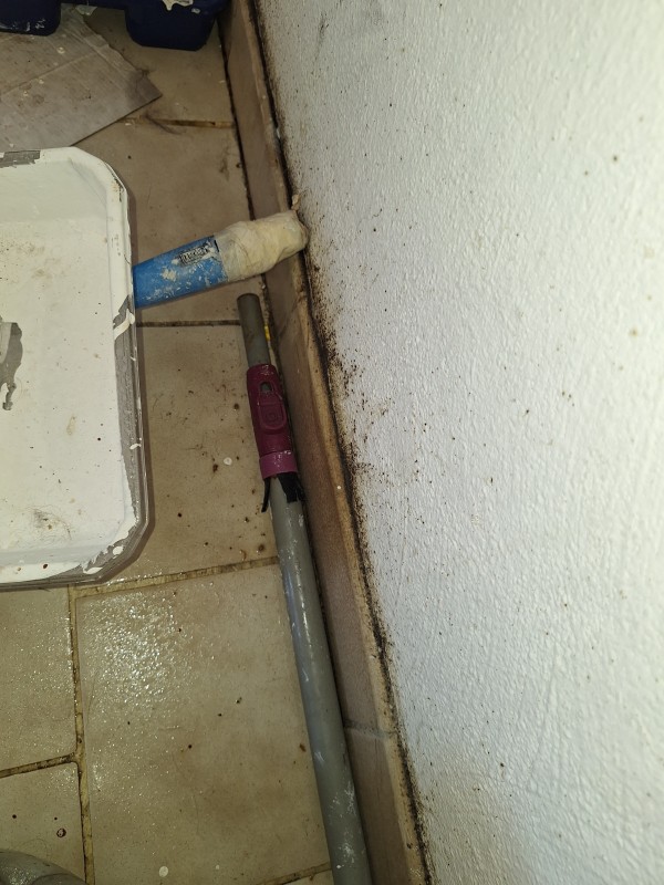 Une méthode radicale pour exterminer les punaises de lit à Montpellier dans l'Hérault 34