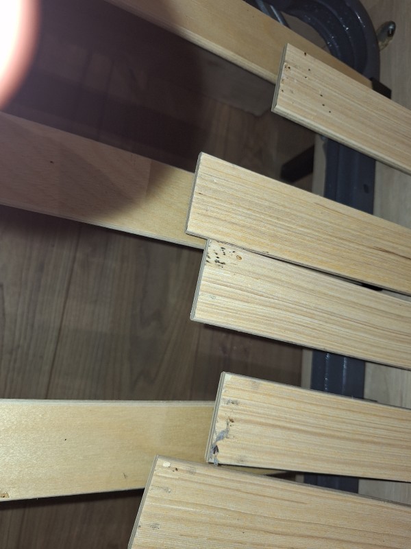 Traitement pour éliminer les punaises de lit sur Montpellier et alentours