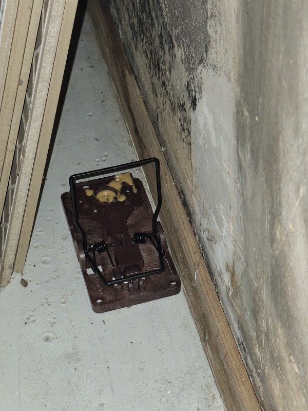 Traitement dératisation dans une villa de 200 m² à la Cadière d'Azur