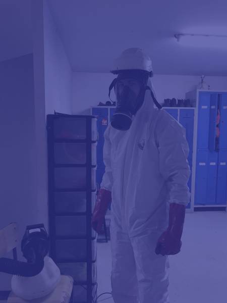 Désinsectisation de vos locaux professionnelsau meilleur prix sur Marseille et les communes environnantes