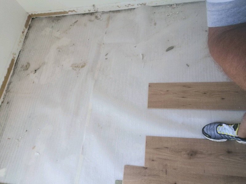 Traitement punaise de lit d'un appartement par pulvérisation et fumigation à Marseille  la valentine