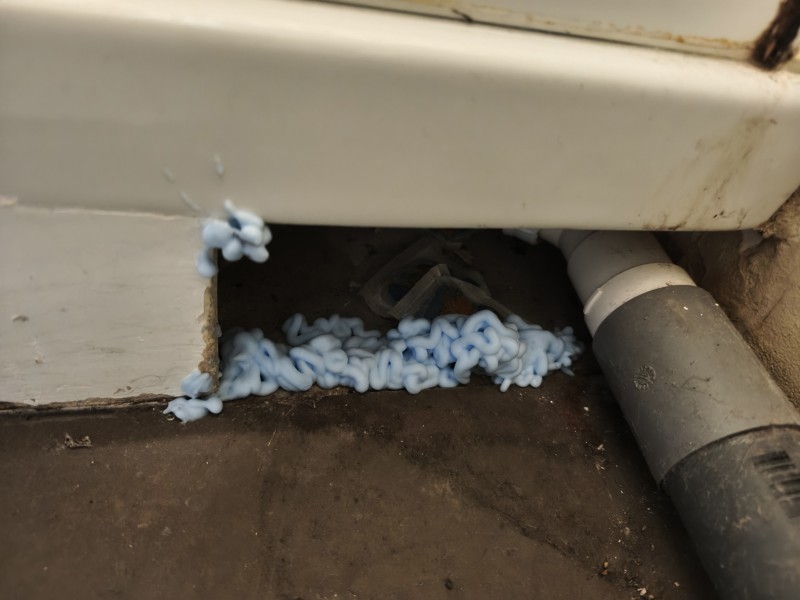 Deratisation en urgence pour invasion de rat dans un appartement à Marseille 13001