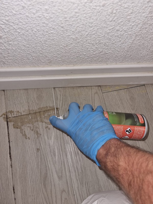 Dératisation et punaises de lit à Marseille : solutions combinées et tarifs adaptés aux logements infestés.