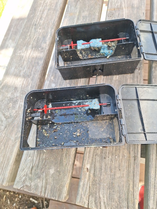 Deratisation en urgence dans une residence privée dans 10ème arrondissement Marseille