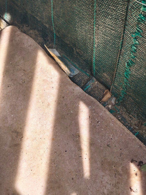 Traitement vapeur sèche punaises de lit dans duplex T2 infesté secteur Endoume Marseille 7ᵉ arrondissement.