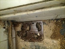 Nos prestations sur le secteur de Aix-en-Provence 13100