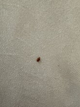 Nos prestations sur le secteur de Aix-en-Provence 13100