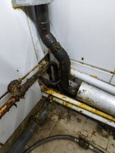 Notre zone d'activité pour ce service Faire appel à une entreprise pour le traitement des fourmis par pulvérisation