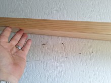 Notre zone d'activité pour ce service Faire appel à une entreprise pour le traitement des fourmis par pulvérisation